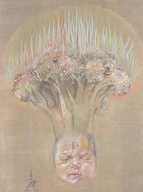 Flowering Head